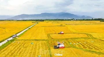 توجهات جديدة لمراجعة معايير المناطق الريفية في قطاعي الزراعة والبيئة
